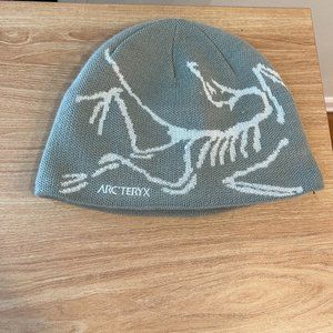 arcteryx bird head toque beanie grey silver